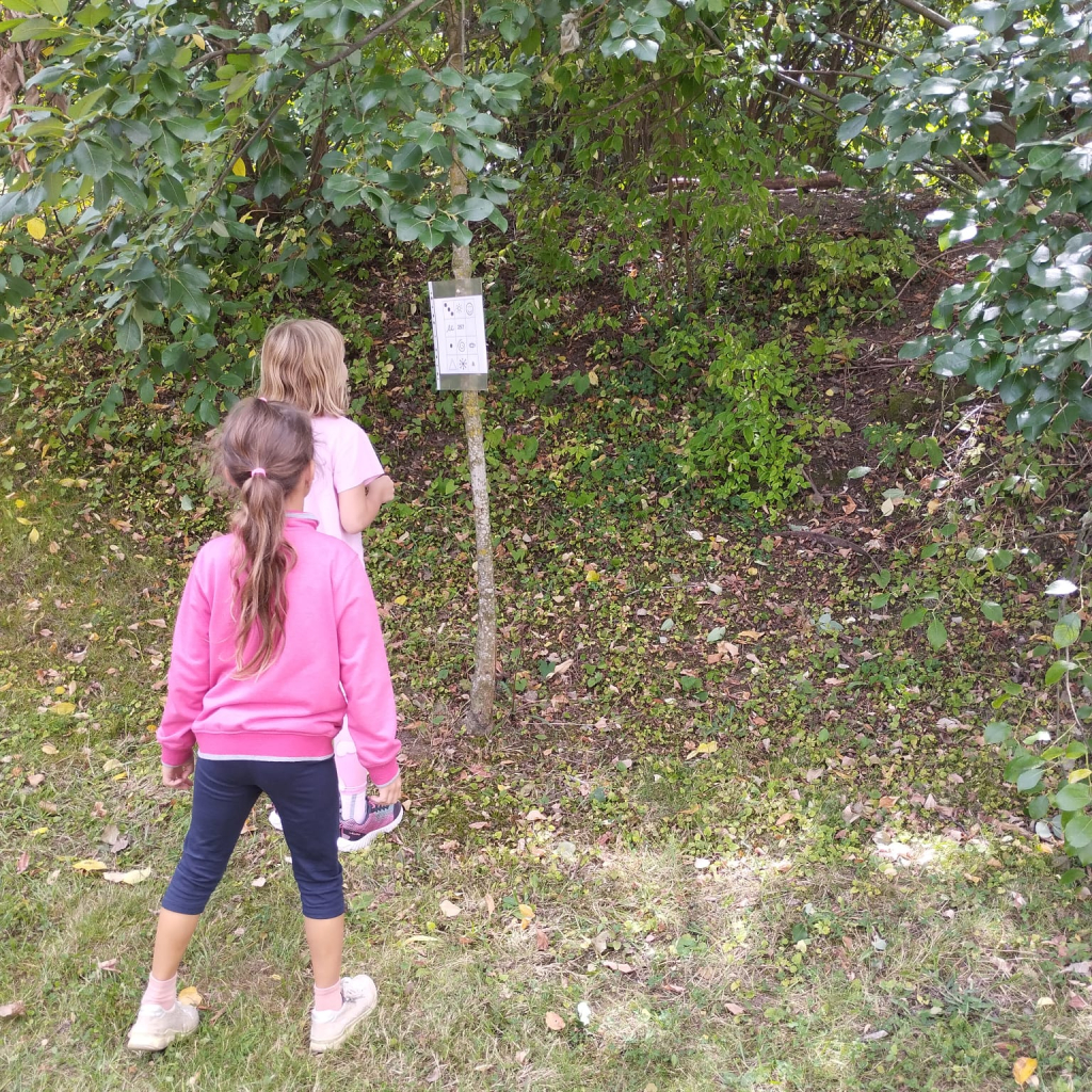 IMG-20260904-WA0013.jpg