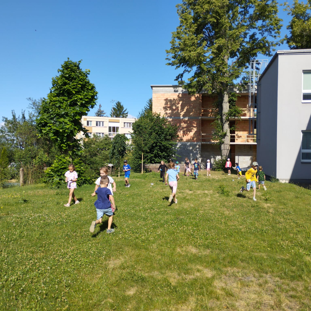 IMG-20260710-WA0027.jpg