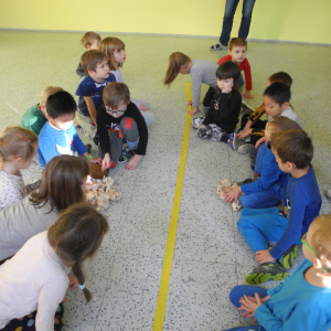 DSCN0518.JPG