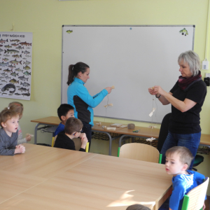 DSCN0530.JPG