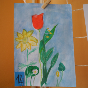 DSCN0567.JPG